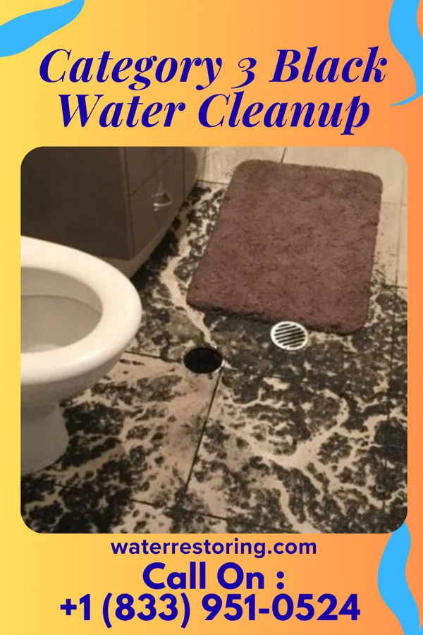 Category 3 Black Water Cleanup in Towamensing Trails, PA