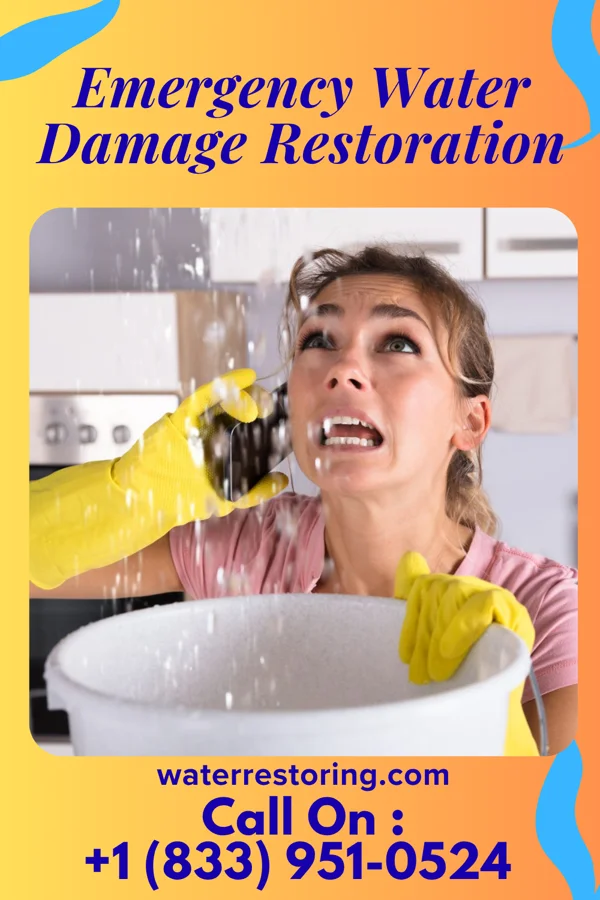 Emergency Water Damage Restoration in Towamensing Trails, PA