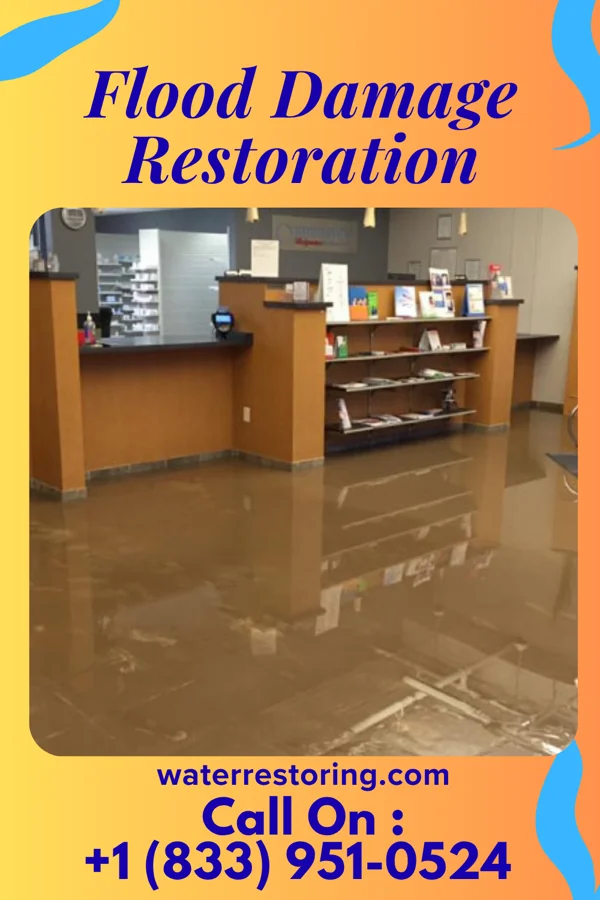 Flood Damage Restoration in Towamensing Trails, PA