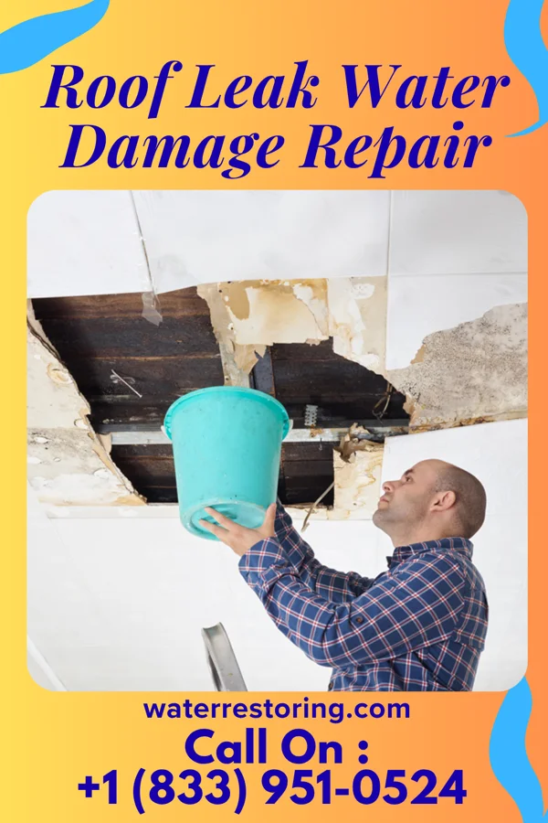 Roof Leak Water Damage Repair in Towamensing Trails, PA