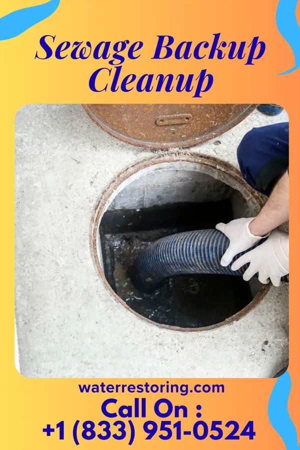 Sewage Backup Cleanup in Towamensing Trails, PA