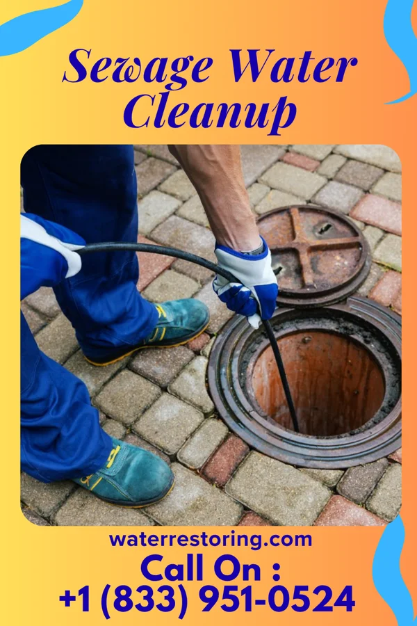 Sewage Water Cleanup in Towamensing Trails, PA