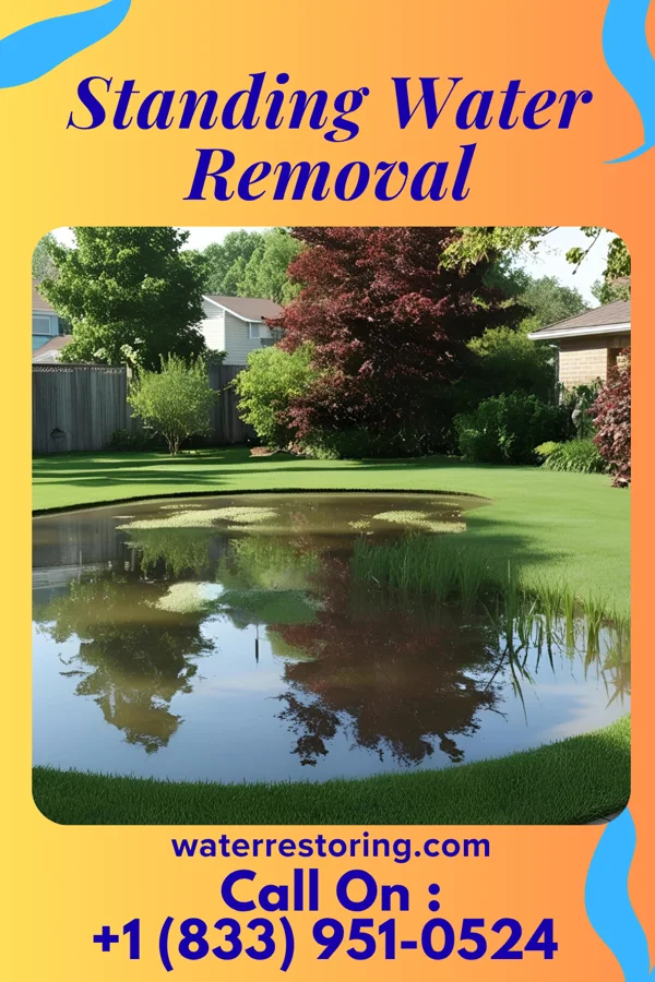 Standing Water Removal in Towamensing Trails, PA